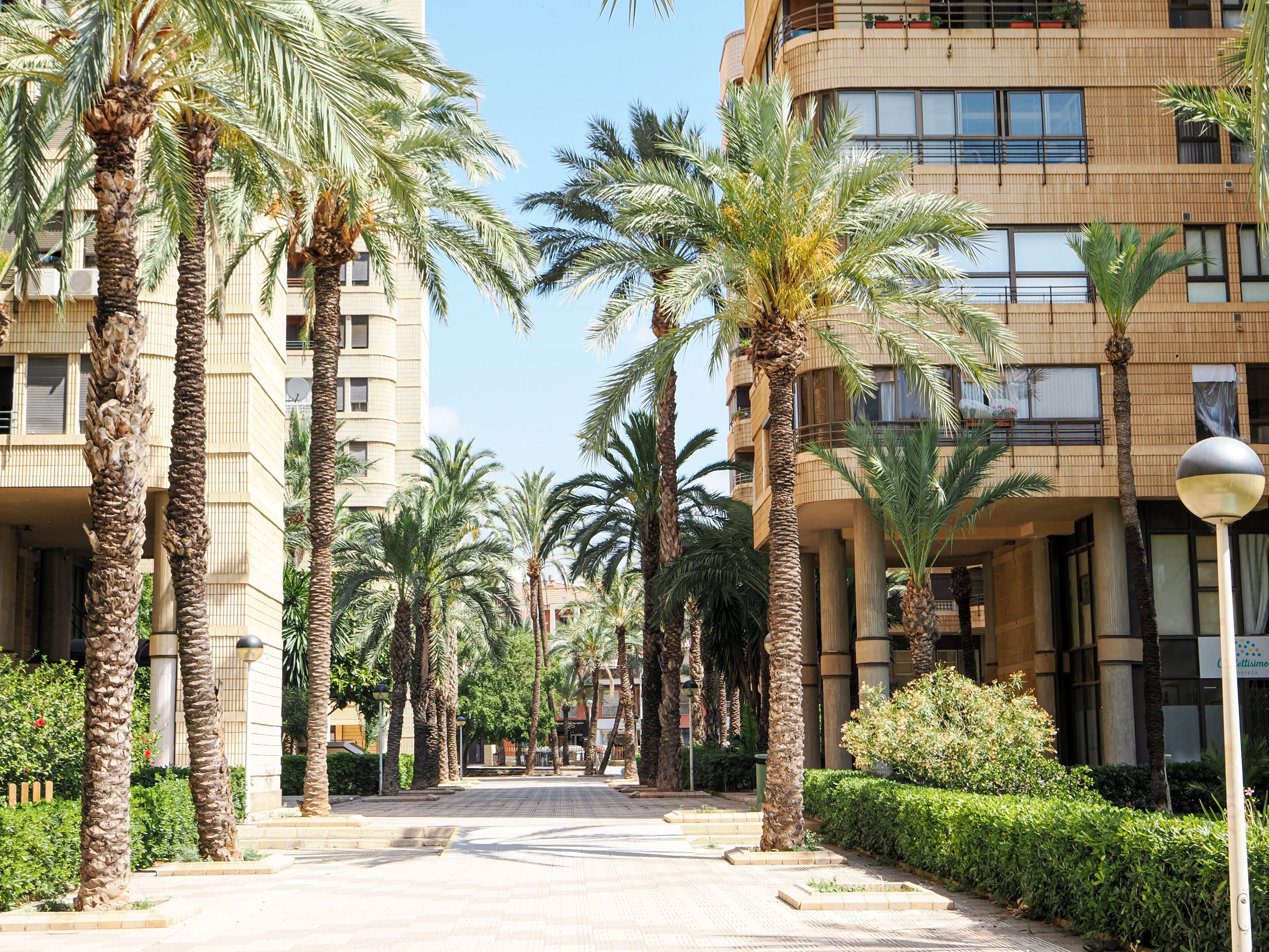 Comprehensive Maintenance Service for Property Owners’ Associations and Hotels